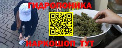 твердый Коммунар