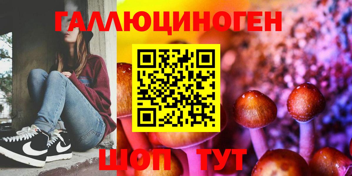 Галлюциногенные грибы Psilocybine cubensis Арсеньев