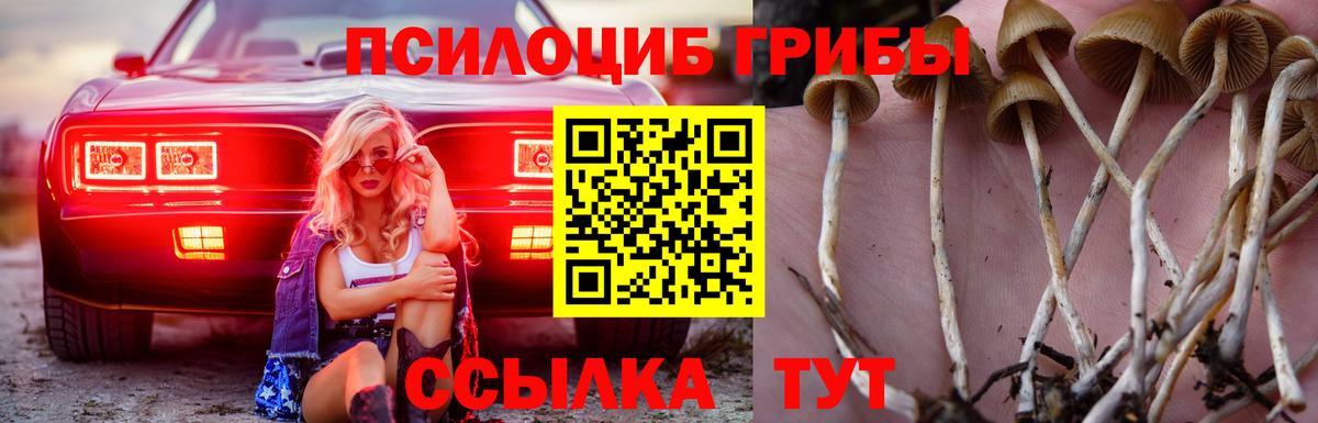 Арсеньев  хочу   Вход с VPN  Галлюциногенные грибы мицелий  Псилоцибиновые грибы GOLDEN TEACHER 